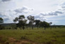 Foto do terreno